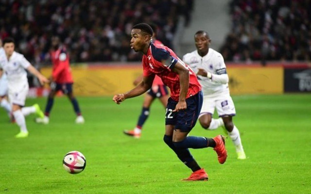 认识的人的 认识的人的